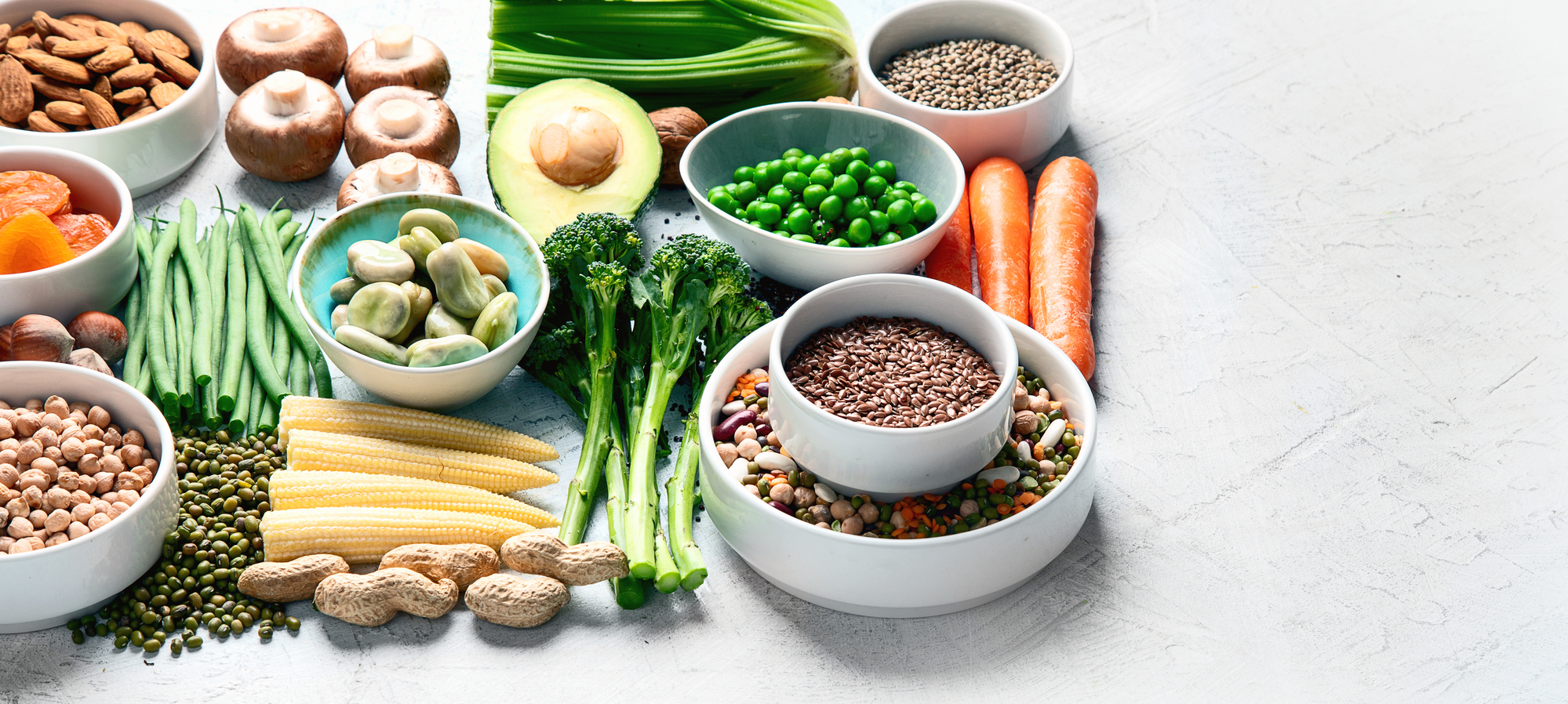 Plant Based Health Professionals UK